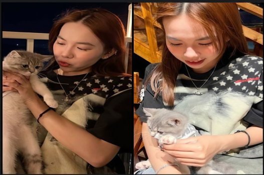 Phim sex Bảo Ngọc thích chó và sưu tầm gấu bông